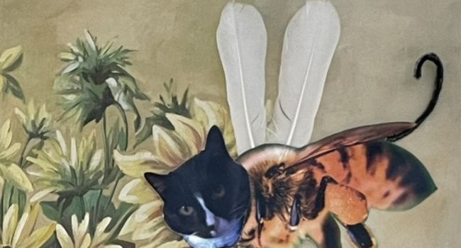 Katzenmusik, Bilder einer Ausstellung