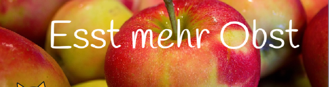 Projektidee Programmierung